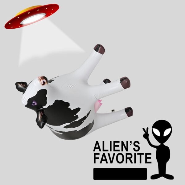 Large Inflatable Toys