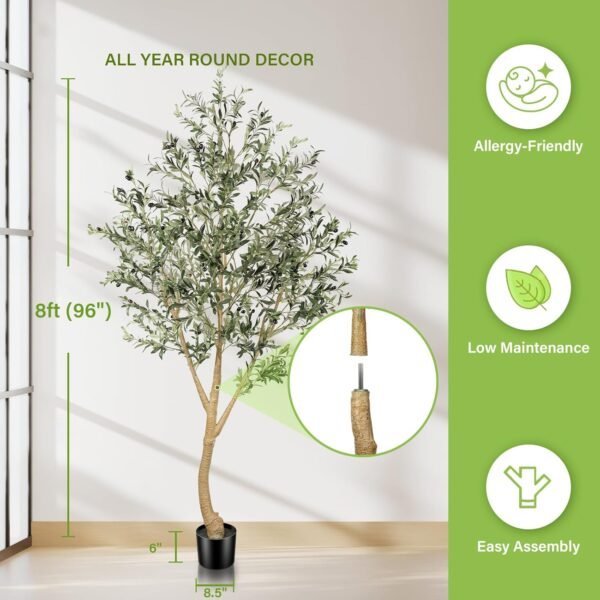 Large Olive Tree