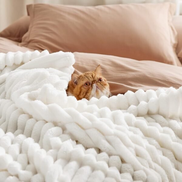 Sofa Throws