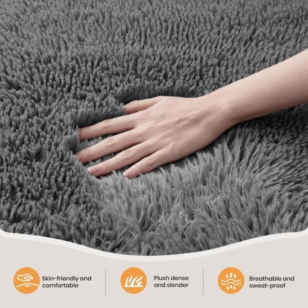 Rugs