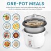 Rice Cookers